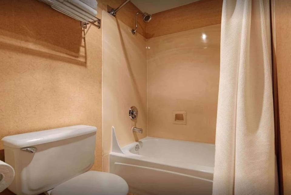 Combined shower/tub, free toiletries, hair dryer, bathrobes