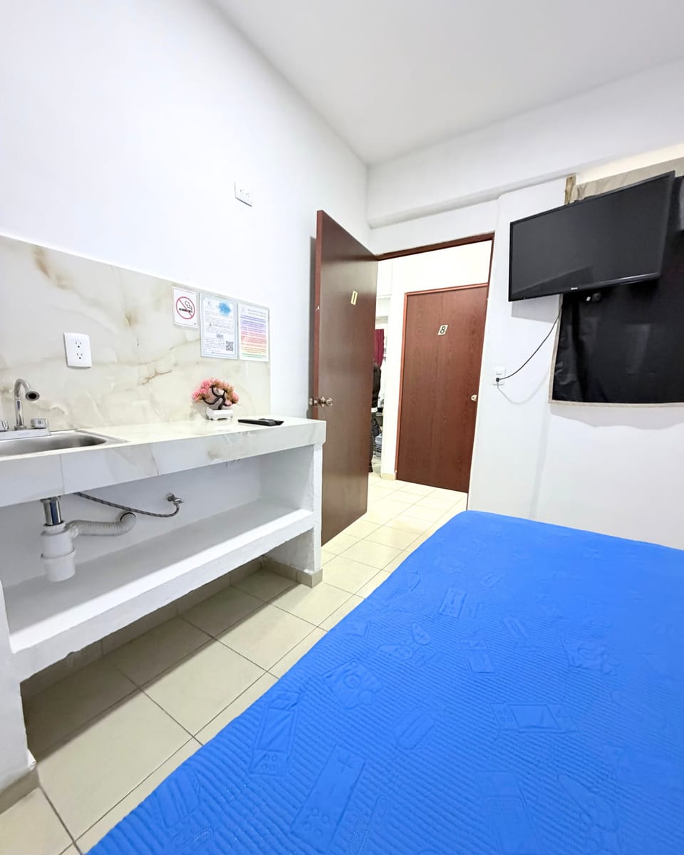Basic Room, 1 Queen Bed | Down comforters, WiFi (free), individually furnished, bed sheets