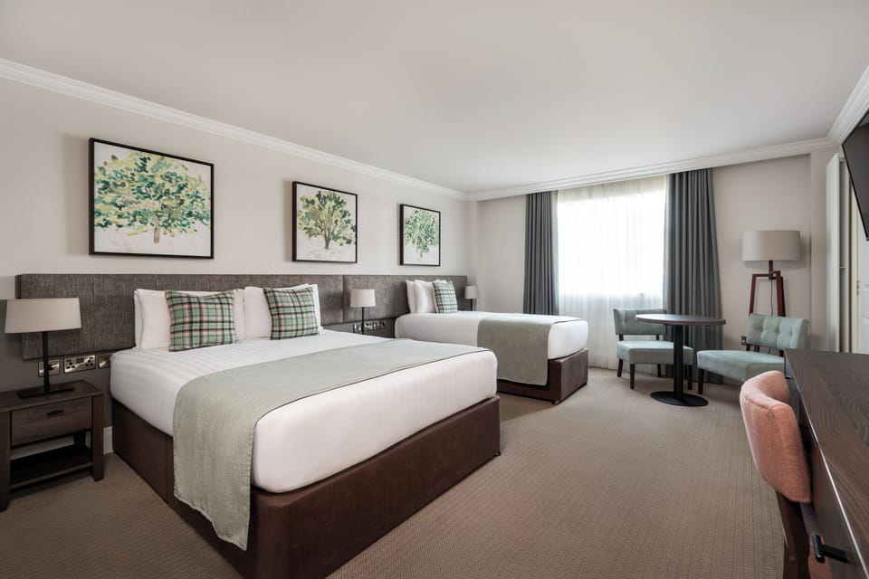 Deluxe Twin Room | Iron/ironing board, WiFi (free)