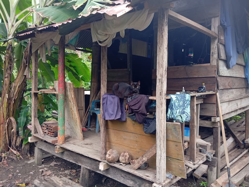 Cabin, 1 Bedroom, Smoking, Patio | Miscellaneous