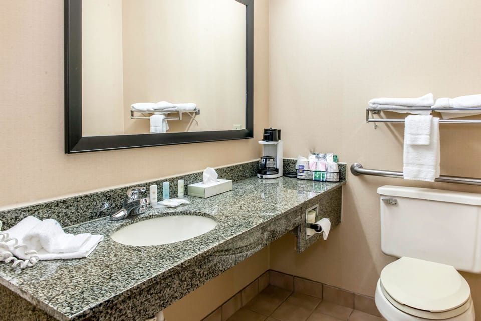 Combined shower/tub, free toiletries, hair dryer, towels