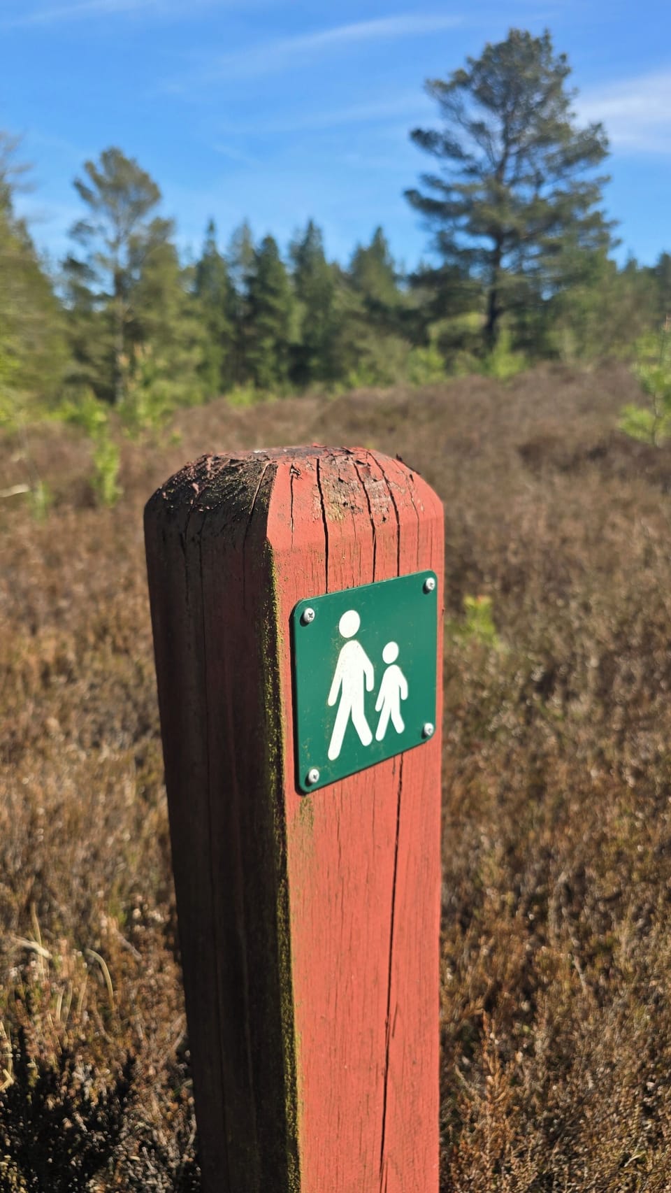 Hiking