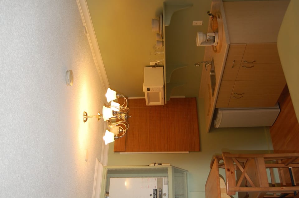 Deluxe Studio Suite, 1 King Bed, Fireplace | Mini-refrigerator