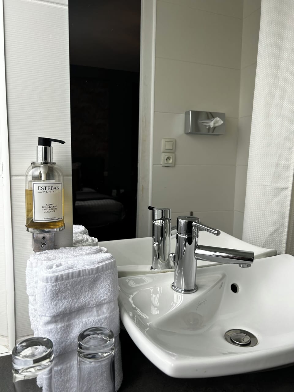 Deluxe Double Room | Bathroom | Free toiletries, towels