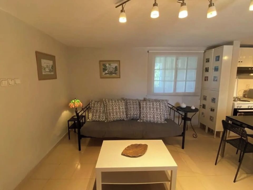 Apartment, 2 Bedrooms, Balcony, Garden View | Living room | Books
