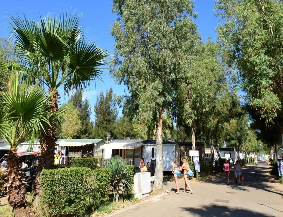 Mobile Home | View from property