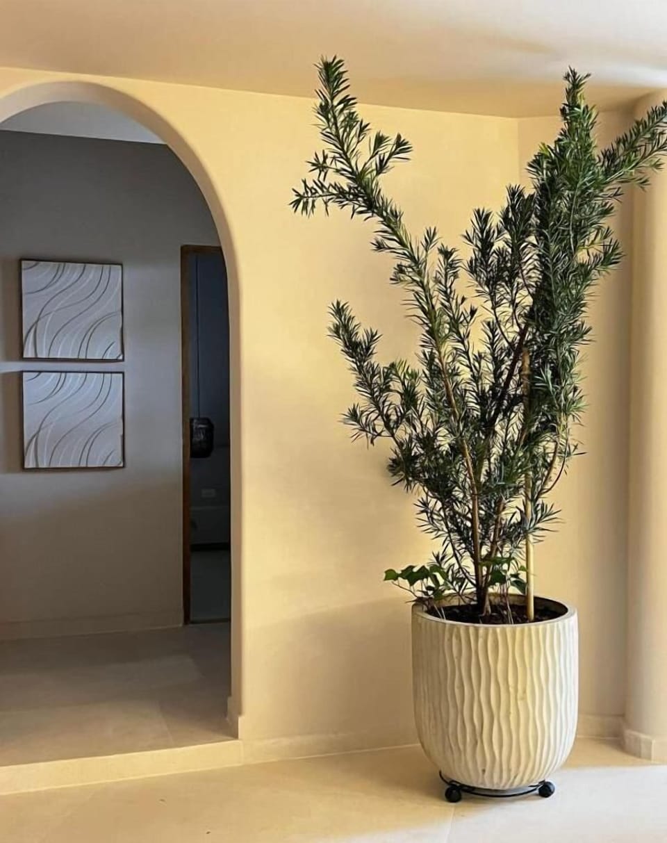 Deluxe Villa, Patio | Interior