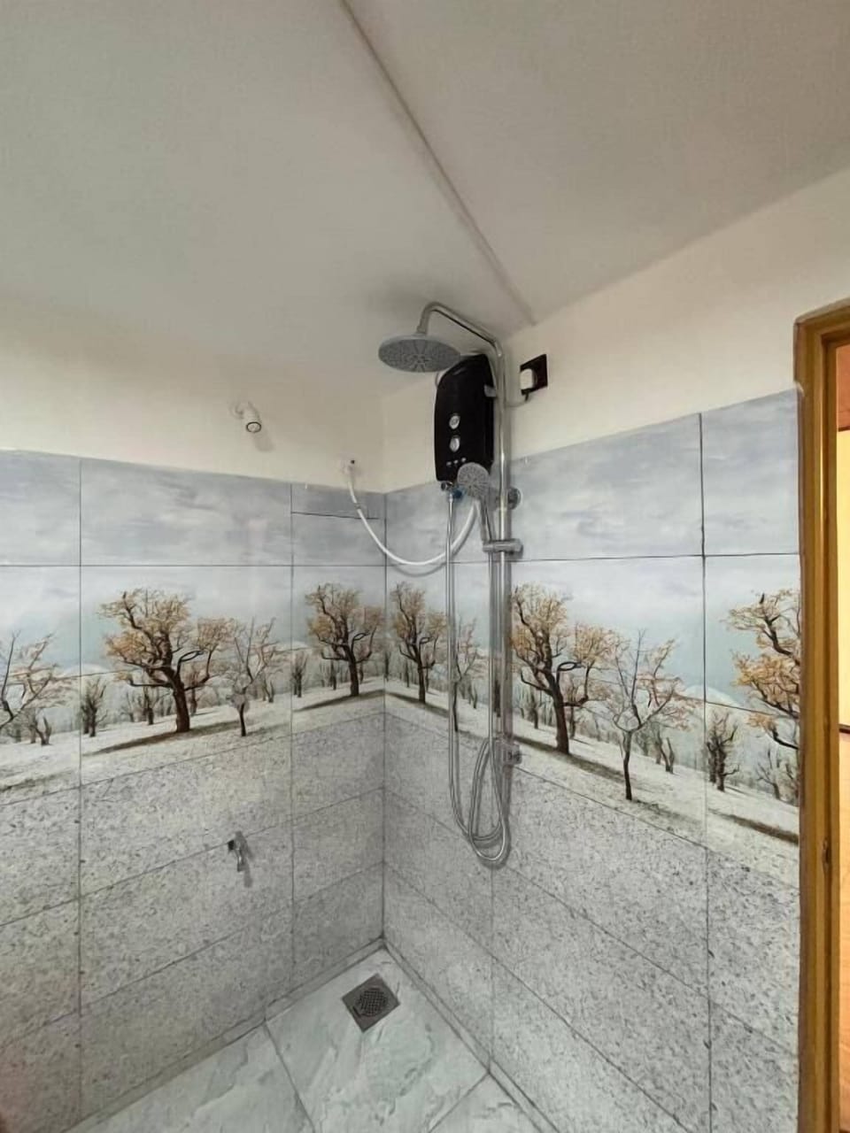Rainfall showerhead, bidet, towels, soap
