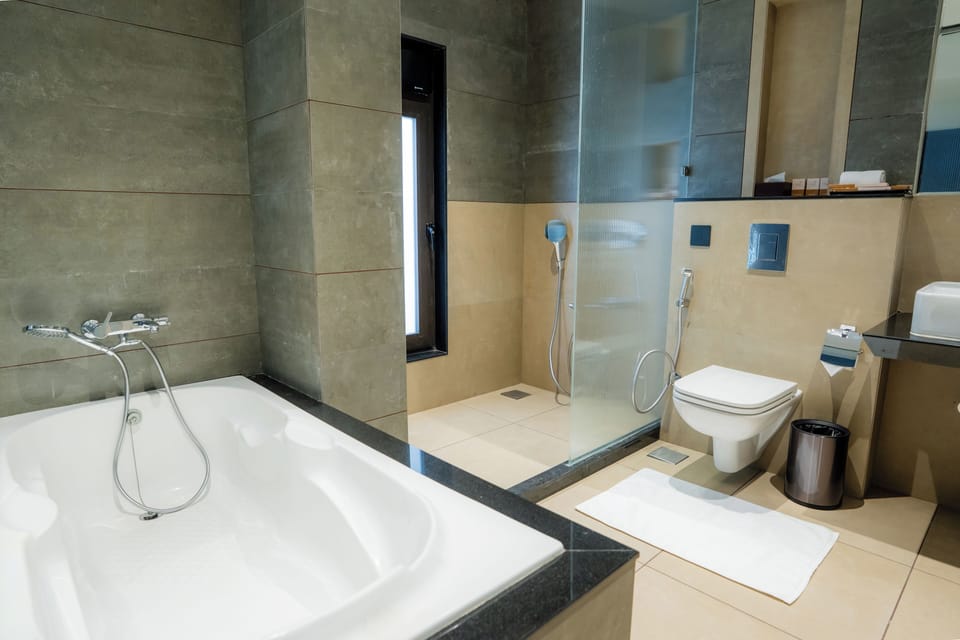 Hair dryer, towels, soap, shampoo