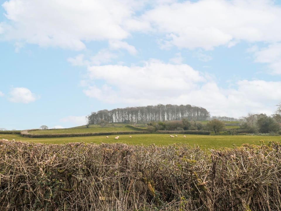 Miscellaneous