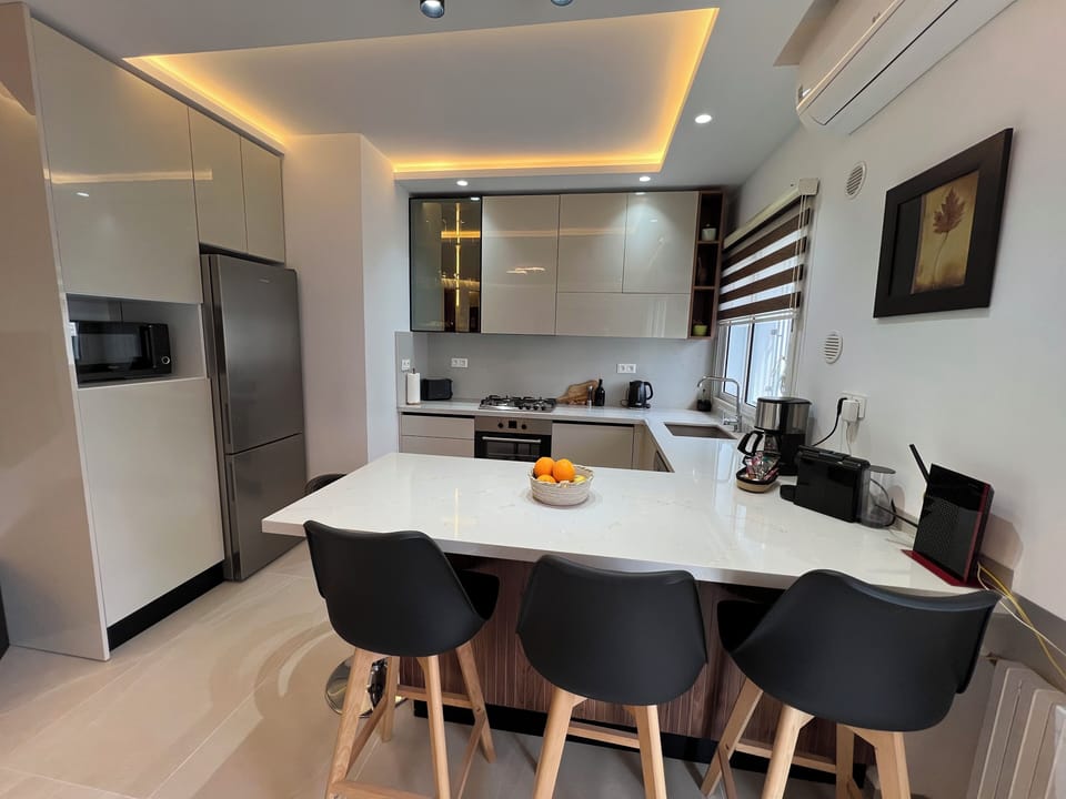 Classic Apartment, 1 Bedroom, Kitchen | Private kitchen | Oven