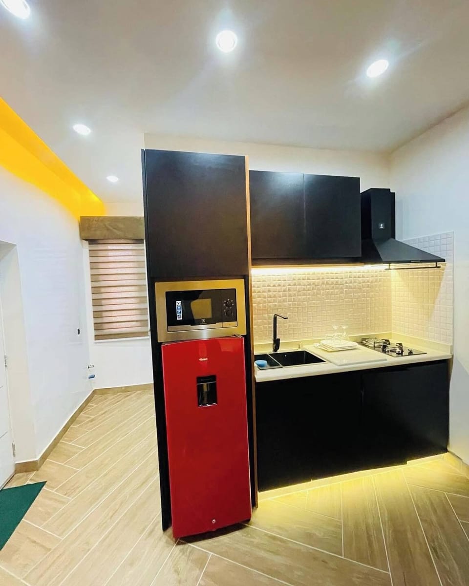 Superior Room, Balcony, City View | Private kitchen | Fridge, microwave, oven, stovetop