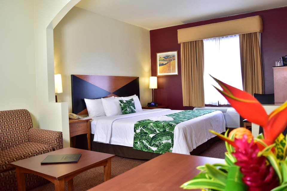 Suite, 1 King Bed with Sofa bed, Non Smoking | Premium bedding, in-room safe, desk, blackout drapes