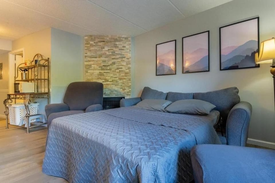 Deluxe Condo, Non Smoking, Pool View | Blackout drapes, iron/ironing board, WiFi (free)