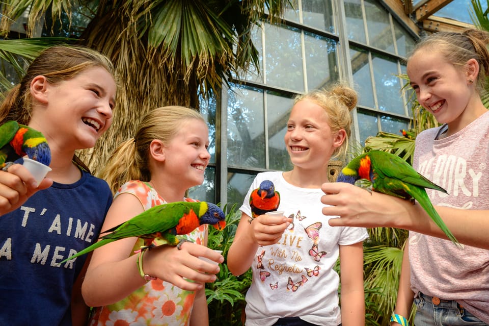 Children's activities