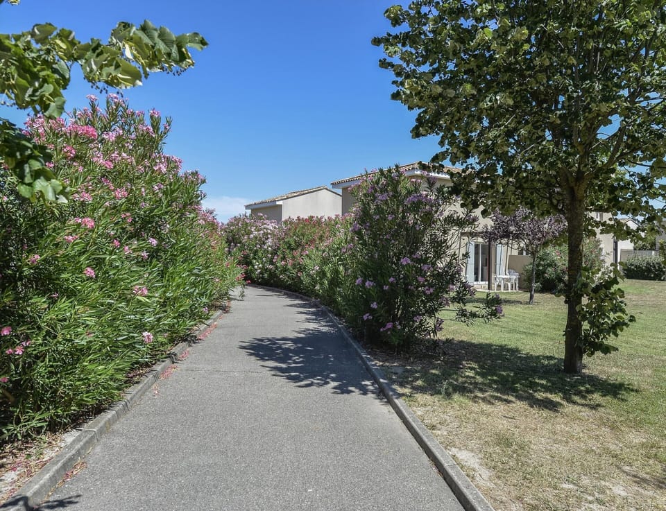 House | View from property