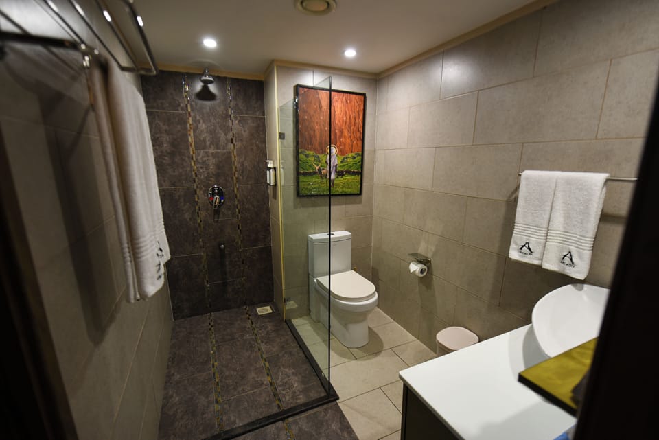 Shower, free toiletries, hair dryer, towels