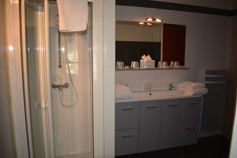 Shower, free toiletries, hair dryer, towels