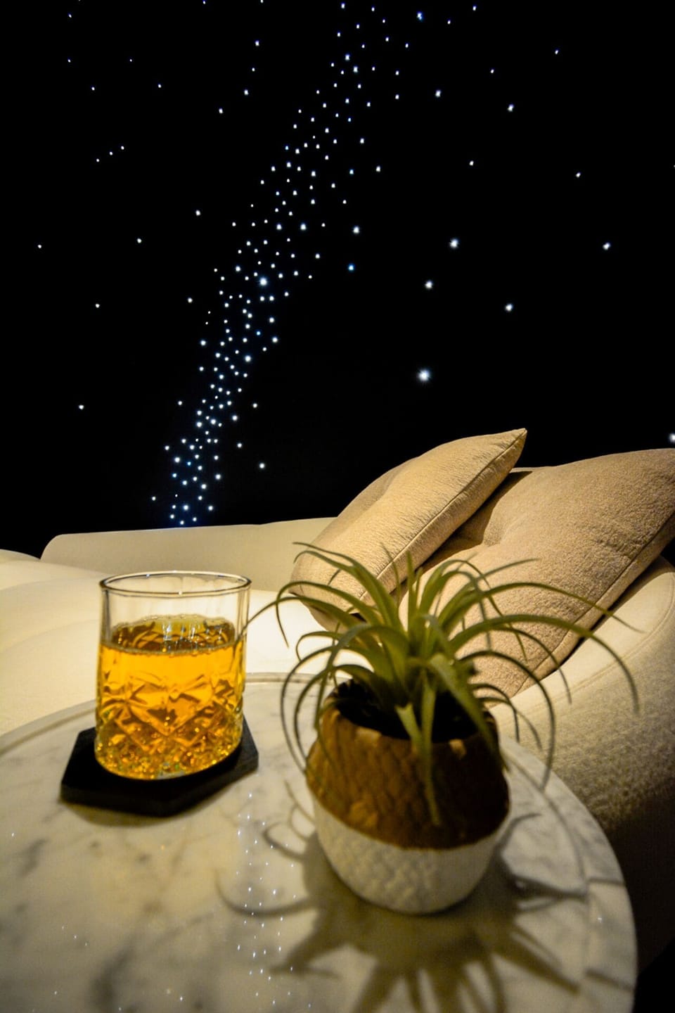 Deluxe Villa | Food and drink
