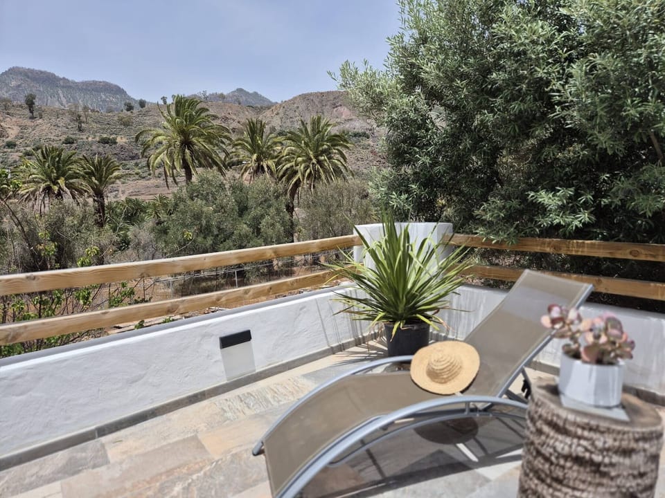 Apartment, 1 Bedroom, Patio | Balcony