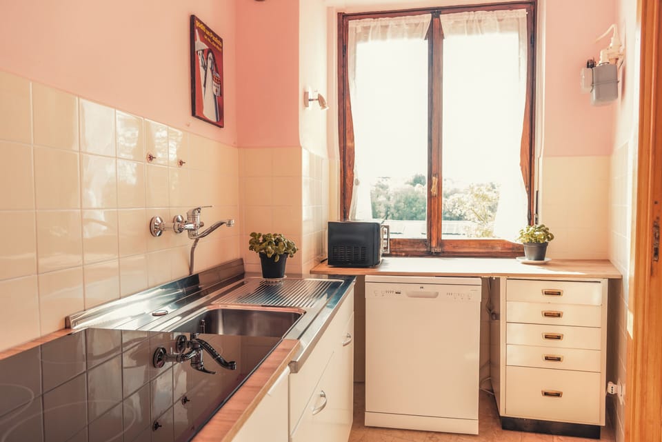 Apartment, Balcony, City View | Private kitchen