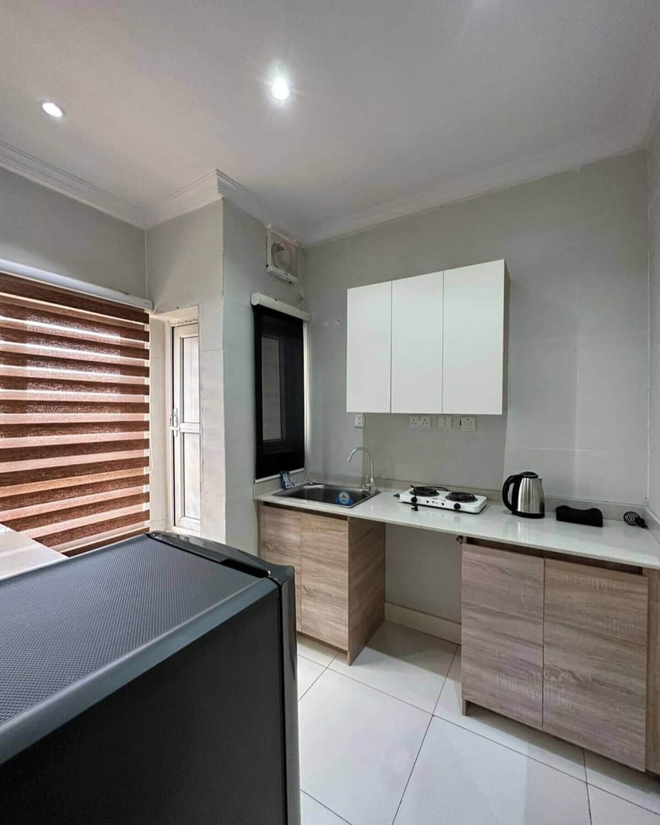Deluxe Apartment, Balcony, City View | Private kitchen | Fridge, microwave, oven, stovetop