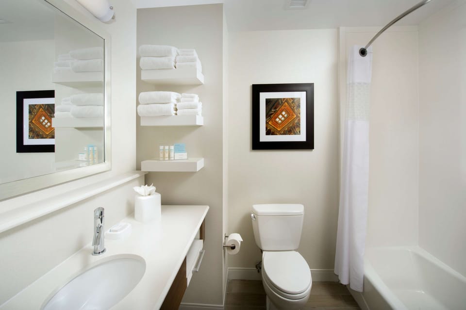 Combined shower/tub, free toiletries, hair dryer, towels