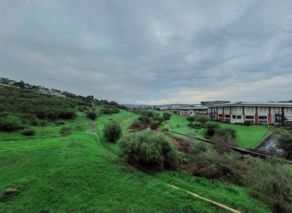 Apartment, 1 Bedroom, Accessible | Balcony