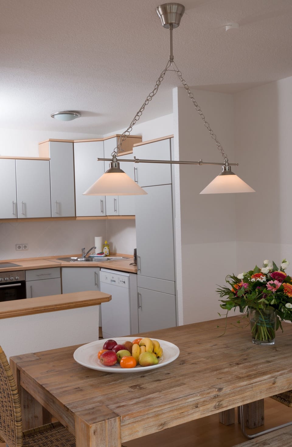 Full-size fridge, oven, stovetop, dishwasher