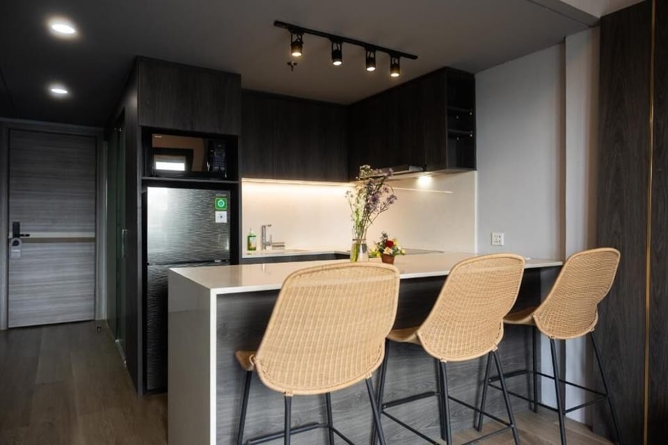 Luxury Apartment, 1 Bedroom, City View | Private kitchen | Eco-friendly cleaning products, paper towels