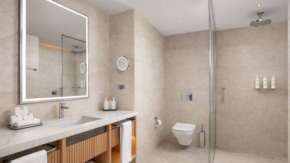 Deluxe Suite | Bathroom | Free toiletries, hair dryer, towels, soap