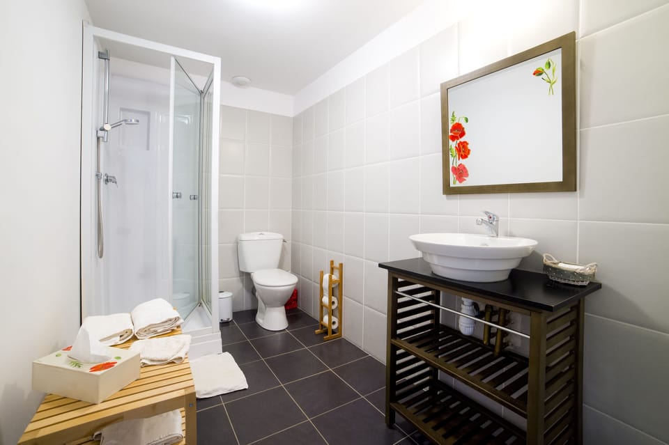 Shower, free toiletries, hair dryer, towels