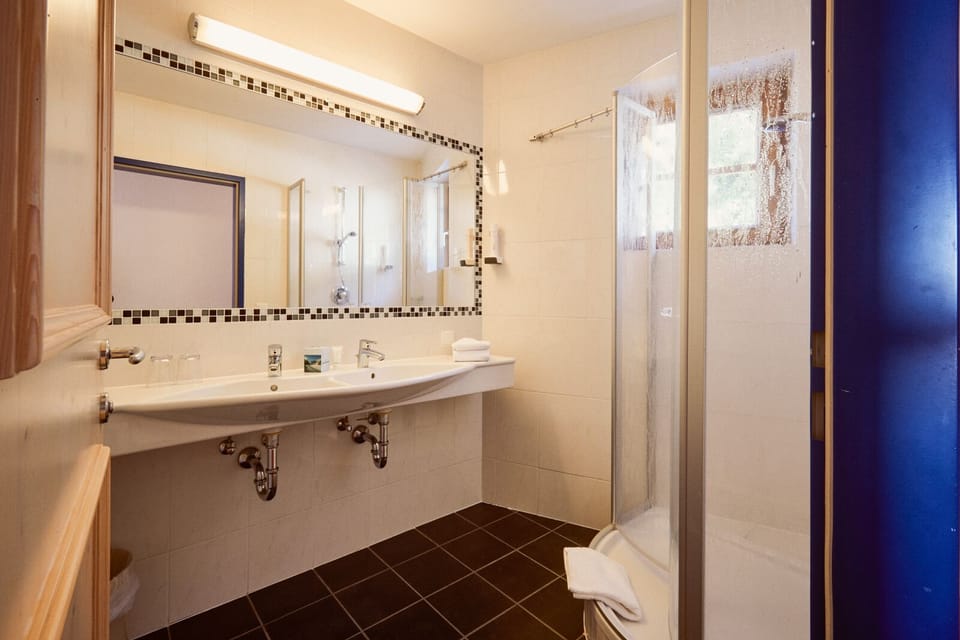 Shower, hair dryer, towels