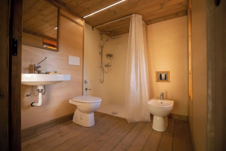 Luxury Double or Twin Room, Hill View | Bathroom | Shower, hair dryer, soap, shampoo