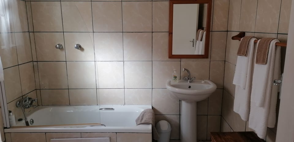 Standard Twin Room, 1 Queen Bed | Bathroom | Shower, free toiletries, towels, soap