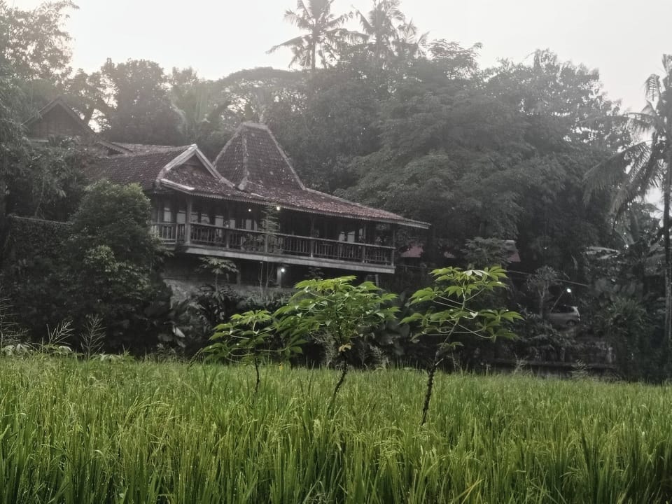 Economy Room | Property grounds