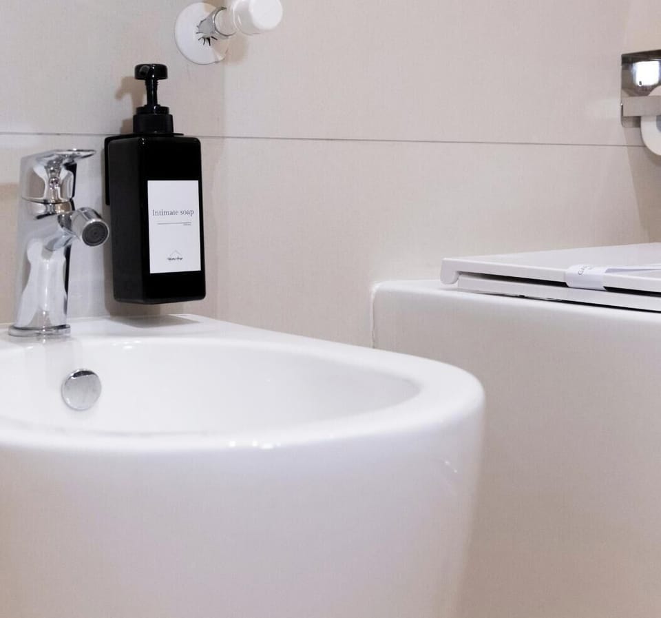 Basic Double or Twin Room, City View | Bathroom