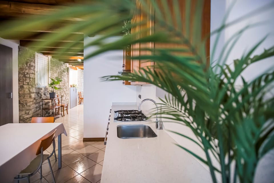 Apartment, Patio | Private kitchen | Fridge, oven, stovetop, dishwasher
