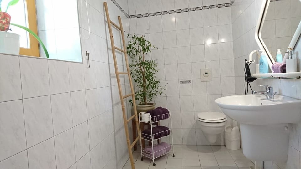 Double Room | Bathroom | Shower, free toiletries, hair dryer, towels