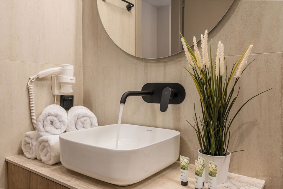 Hair dryer, towels, soap, toilet paper