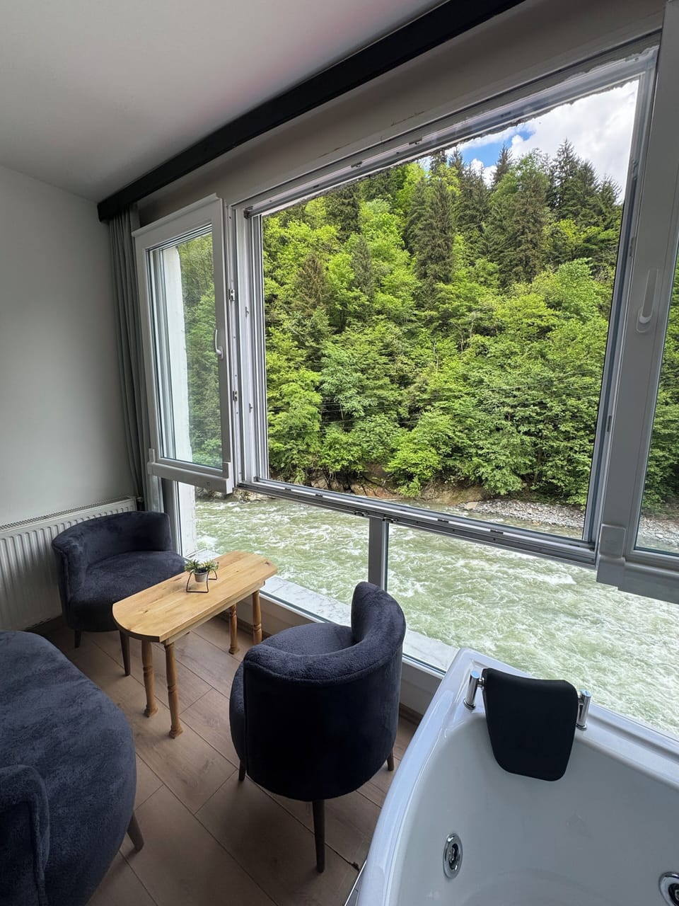 Luxury Condo, River View | Interior