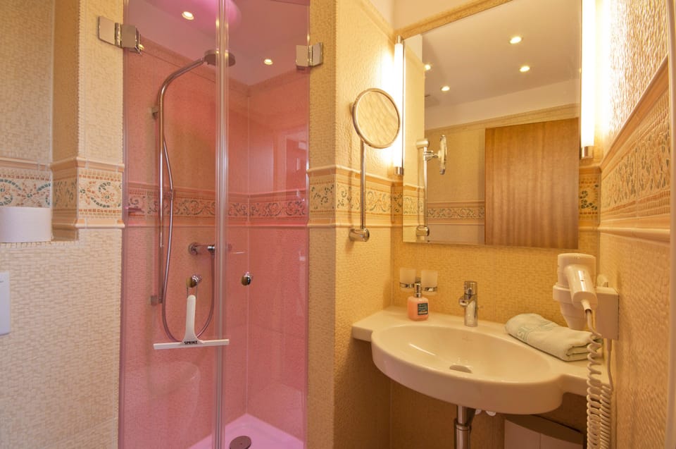 Single Room | Bathroom | Shower, free toiletries, hair dryer, towels