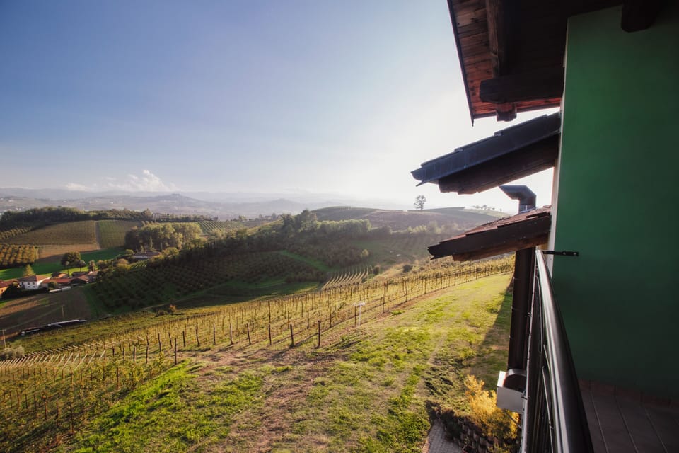 Deluxe Double Room, Balcony, Vineyard View | View from property