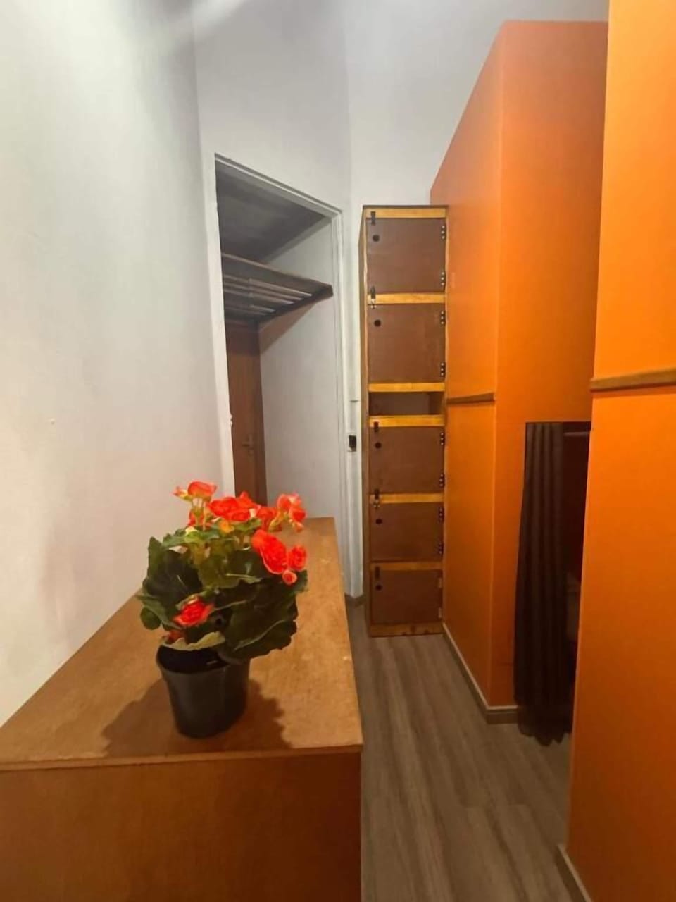 Mamão | Interior