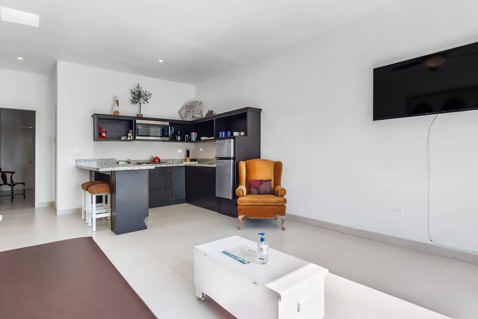 Apartment, 1 Queen Bed with Sofa bed, Partial Ocean View (Jr Suite 6 - Playa Arcangel) | Living area
