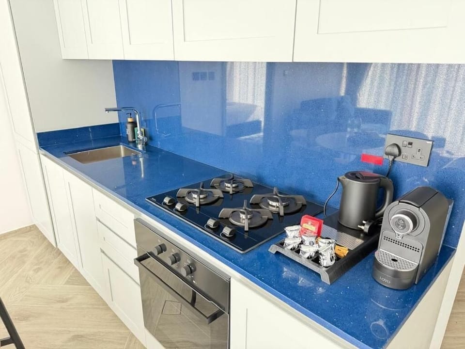 Superior Apartment, 1 Bedroom, Balcony, City View | Private kitchen | Fridge, microwave, oven, stovetop