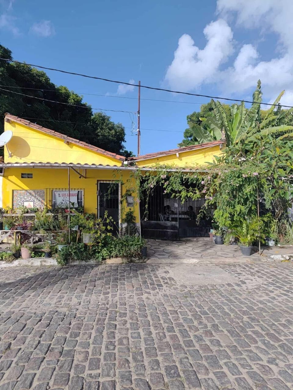 Exterior