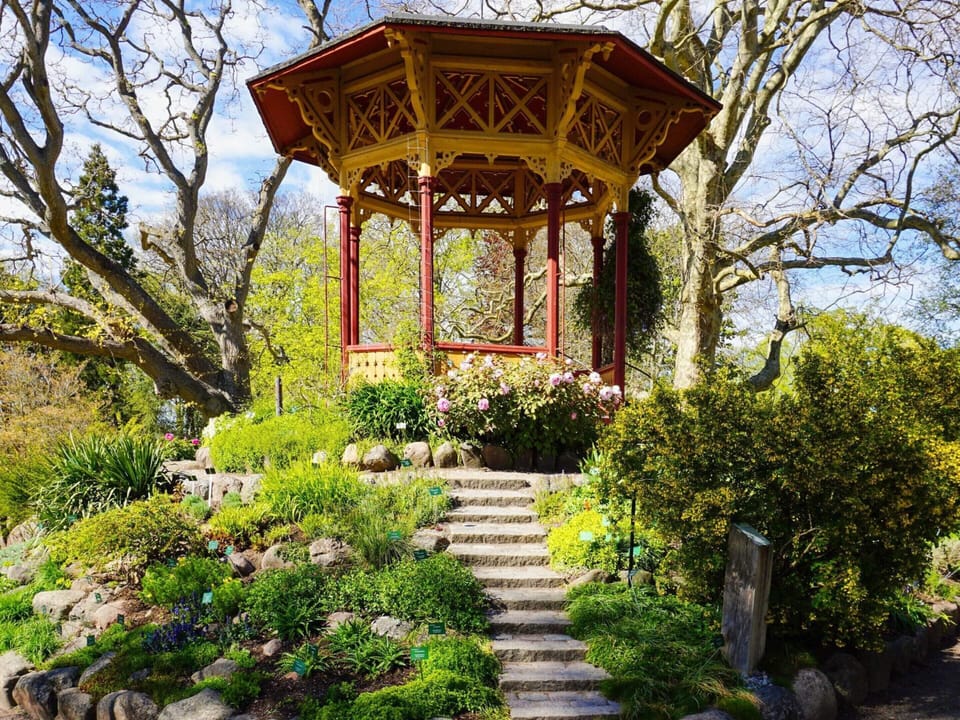 House | Property grounds