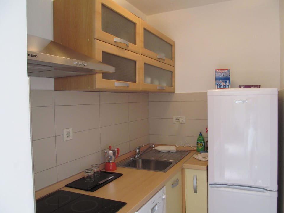 Apartment (A1) | Private kitchen | Fridge, microwave, oven, stovetop