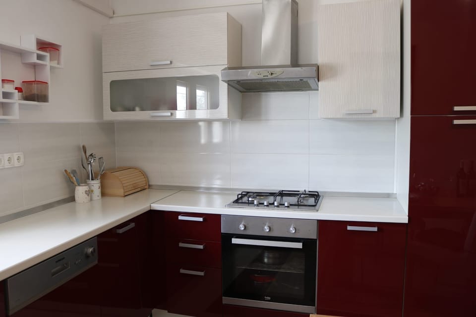 Apartment (A1) | Private kitchen | Fridge, microwave, oven, stovetop